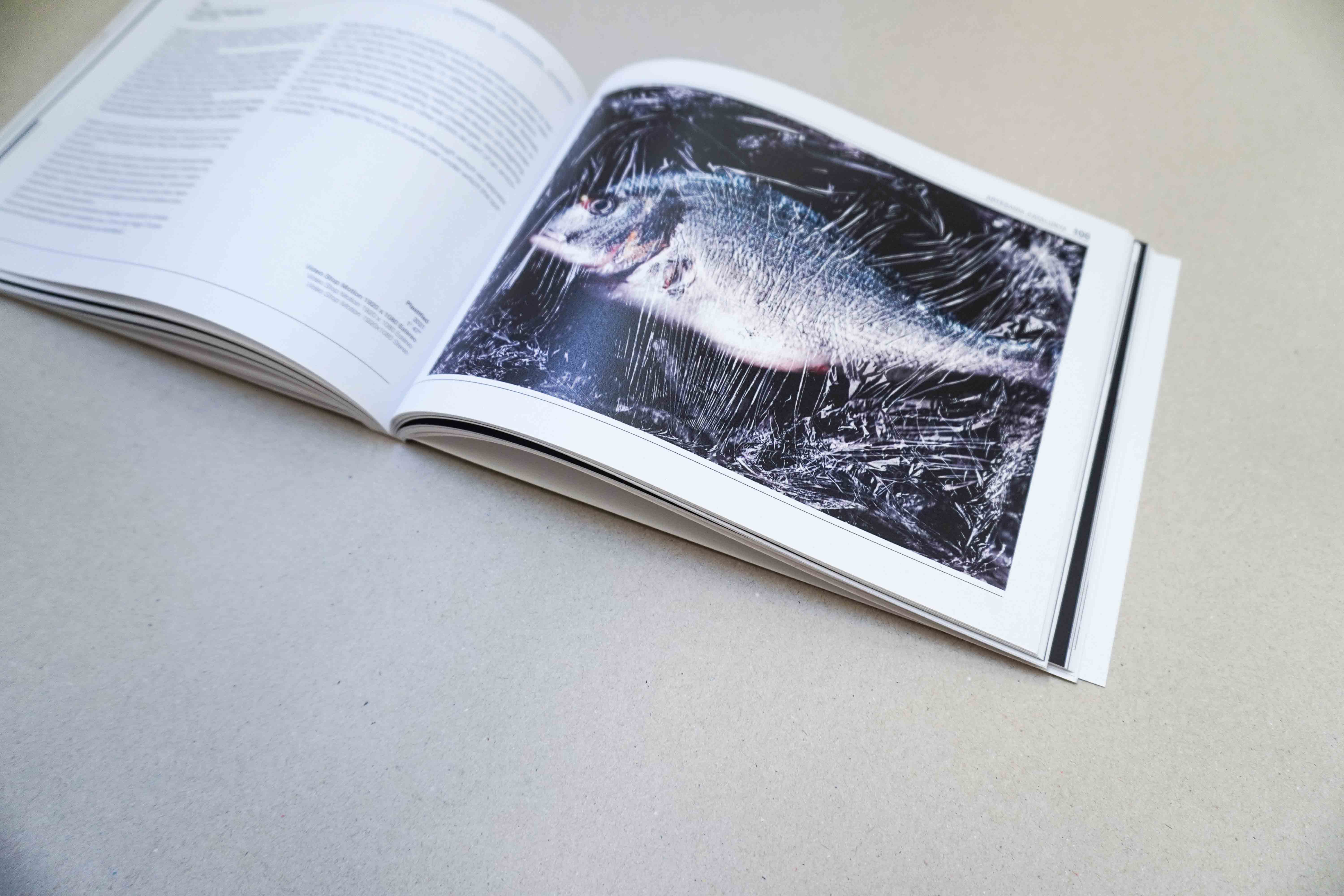 Drap-Art'21 – Catalog – Artist's page