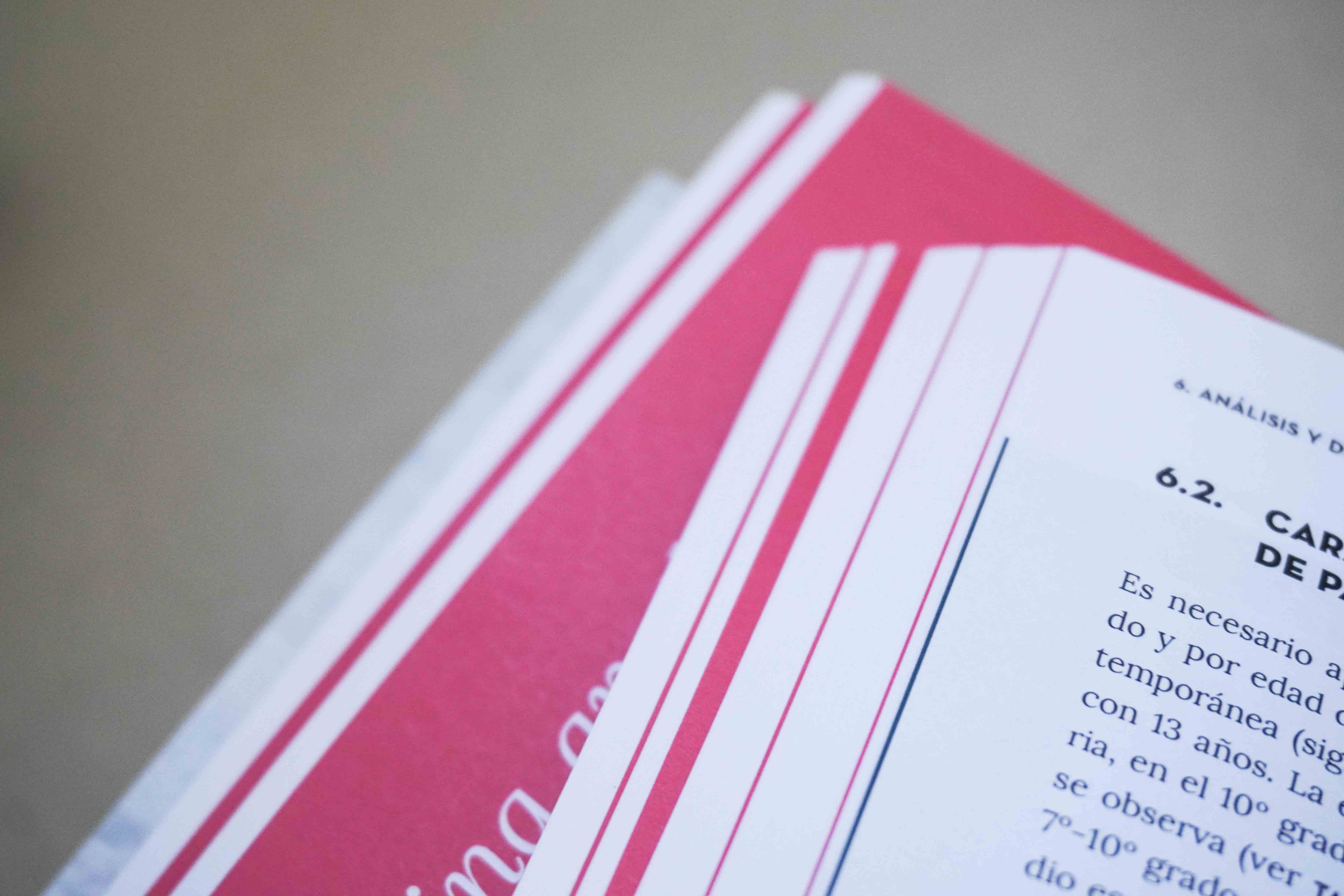 Feride Durna – Thesis