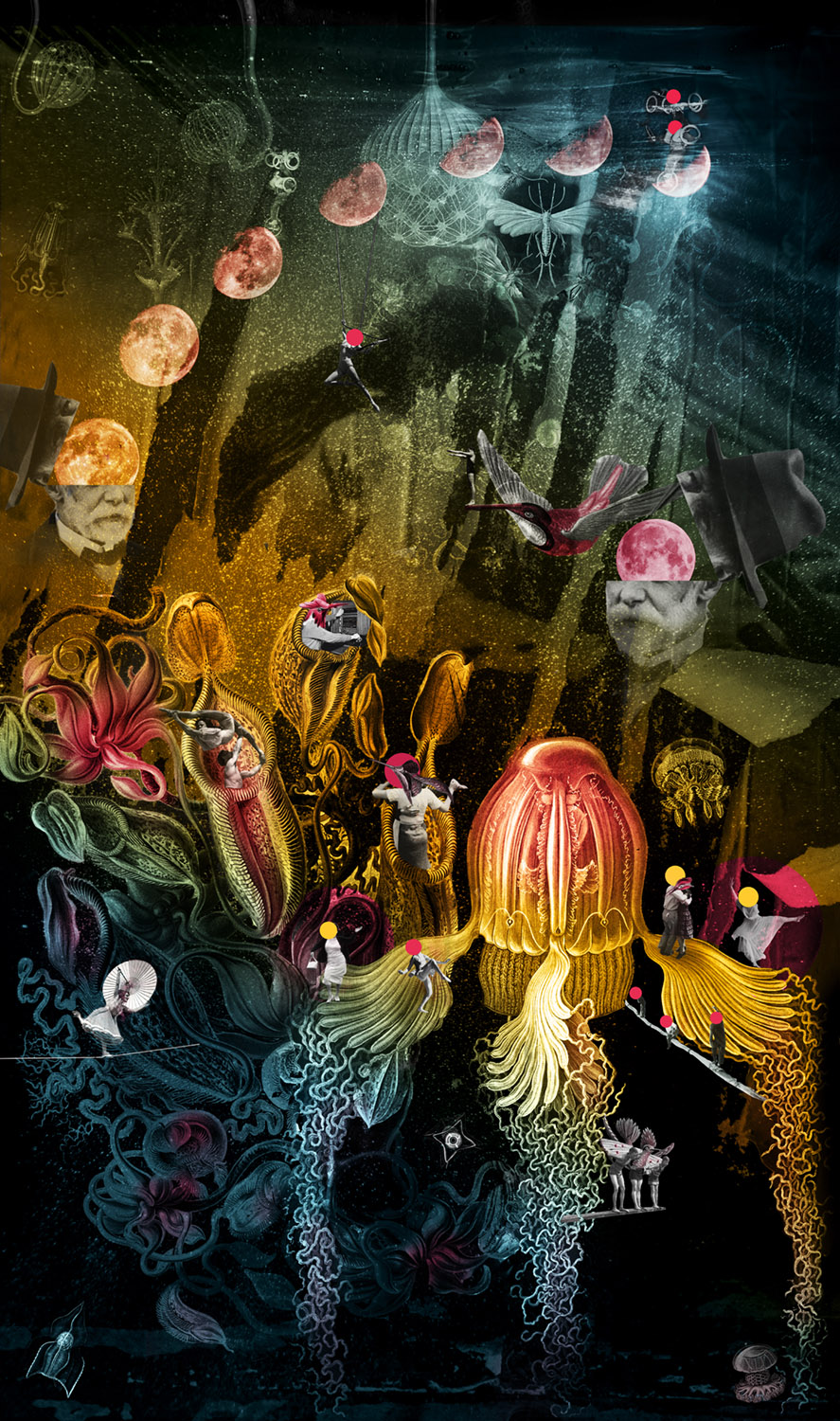 LA Cultural IV – Fauna – Motive clean