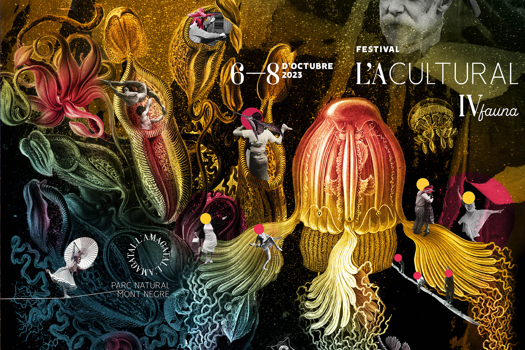 LA Cultural IV – Fauna – Motive reduced